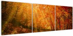 Mivali Tablou cu pădurea în toamnă, din trei bucăți 150x50 cm (V021203V15050)