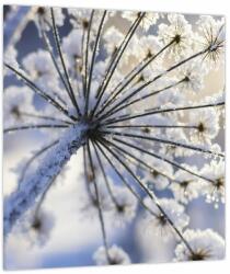 Mivali Tablou - Flori înghețate, dintr-o bucată 30x30 cm (V023939V3030)