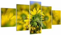 Mivali Tablou cu floarea soarelui, din cinci bucăți 150x80 cm (V020247V150805PCS)