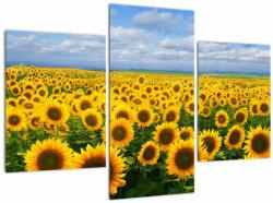 Mivali Tablou cu lan de floarea soarelui, din trei bucăți 90x60 cm (V020946V90603PCS)