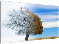 Mivali Tablou - Schimbarea anotimpurilor, dintr-o bucată 120x70 cm (V023329V12070)
