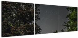Mivali Tablou cu cerul nocturn, din trei bucăți 150x50 cm (V020998V15050)