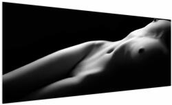 Mivali Tablou - Nud feminin, alb - negru, dintr-o bucată 250x125 cm (V023378V250125)