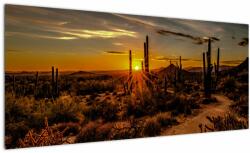 Mivali Tablou - Sfărșit de zi în deșertul Arizona, dintr-o bucată 100x40 cm (V021638V10040)