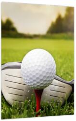 Mivali Tablou - Golf, dintr-o bucată 30x40 cm (V023766V3040)