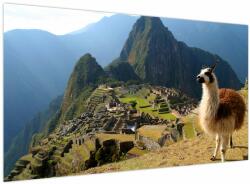Mivali Tablou - Lama și Machu Picchu, dintr-o bucată 120x70 cm (V023712V12070)