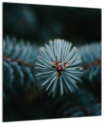 Mivali Tablou -Crenguțe ale unui conifer, dintr-o bucată 40x40 cm (V022700V4040)