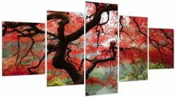 Mivali Tablou - Arțarul japonez roșu, Portland, Oregon, din cinci bucăți 150x80 cm (V023677V150805PCS)