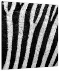 Mivali Tablou pe sticlă cu piele de zebră, dintr-o bucată 40x40 cm pe sticlă (V021235V4040GD)