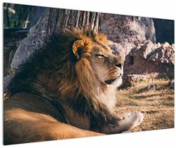 Mivali Tablou cu leul dormind, dintr-o bucată 120x80 cm (V021249V12080)