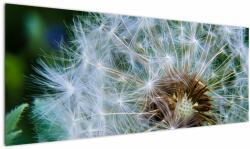 Mivali Tabloul cu păpădie desflorit, dintr-o bucată 145x58 cm (V020006V14558)