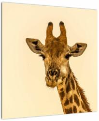 Mivali Tablou cu girafe, dintr-o bucată 50x50 cm (V020914V5050)