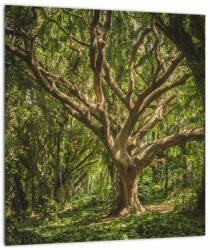 Mivali Tablou pe sticlă cu copaci, dintr-o bucată 30x30 cm pe sticlă (V021216V3030GD)