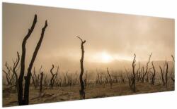 Mivali Tablou - Copaci goi, dintr-o bucată 200x100 cm (V021707V200100)