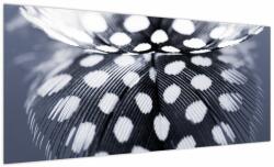 Mivali Tablou - Pană, dintr-o bucată 100x40 cm (V023864V10040)