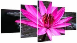 Mivali Tablou - floarea roz (cu ceas), din cinci bucăți 150x80 cm cu ceas (V020636V15080C)