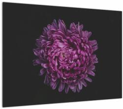 Mivali Tablou pe sticlă cu floare violetă, dintr-o bucată 70x50 cm pe sticlă (V020427V7050GD)