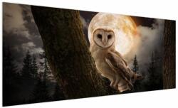 Mivali Tablou cu bufnița, dintr-o bucată 250x125 cm (V022174V250125)