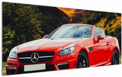 Mivali Tablou - Mercedes roșu, dintr-o bucată 120x50 cm (V020564V12050)