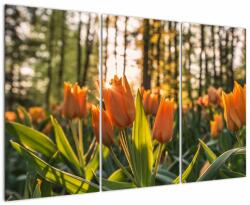 Mivali Tablou - lalele potocalii, din trei bucăți 120x80 cm (V020552V120803PCS)