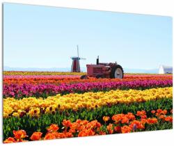 Mivali Tablou cu farma de lalele, dintr-o bucată 90x60 cm (V021542V9060)