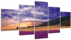 Mivali Tablou cu lunca cu lavandă, din cinci bucăți 150x80 cm (V022156V150805PCS)
