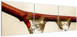 Mivali Tablou cu picături de apă pe creangă, din trei bucăți 150x50 cm (V020531V15050)