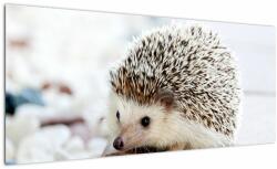 Mivali Tablou cu arici, dintr-o bucată 100x40 cm (V020368V10040)