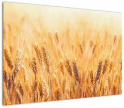 Mivali Tablou - câmp cu grâne, dintr-o bucată 100x70 cm (V022021V10070)