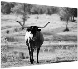 Mivali Tablou - Vacă, alb-negru, dintr-o bucată 100x70 cm (V023978V10070)