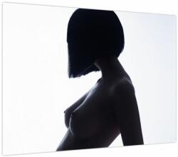 Mivali Tablou - Silueta feminină, nud, dintr-o bucată 70x50 cm (V023899V7050)