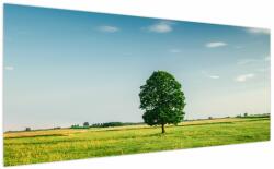 Mivali Tablu - Copac în luncă, dintr-o bucată 200x100 cm (V022558V200100)