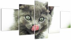 Mivali Tablou cu pisicuța lingându-se, din cinci bucăți 150x80 cm (V020978V150805PCS)