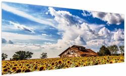 Mivali Tablou cu câmp de floarea soarelui, dintr-o bucată 250x125 cm (V020405V250125)