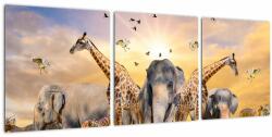 Mivali Tablou - Animae din Africa, din trei bucăți 90x30 cm (V022143V9030)