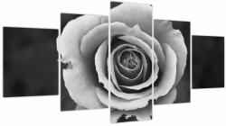 Mivali Tablou - Trandafir (cu ceas), din cinci bucăți 150x80 cm cu ceas (V022585V15080C)