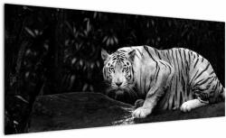 Mivali Tablou - Tigru alb, alb-negru, dintr-o bucată 100x40 cm (V023152V10040)