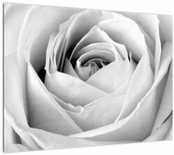Mivali Tablou - Detailu de floare de trandafir, dintr-o bucată 70x50 cm (V022191V7050)