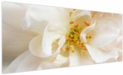 Mivali Tablou - Floare, dintr-o bucată 250x125 cm (V023715V250125)
