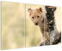 Mivali Tablou cu pui de leu, din trei bucăți 120x80 cm (V020690V120803PCS)