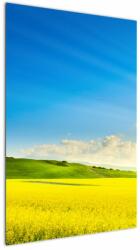 Mivali Tablou - Cerul de primăvară, dintr-o bucată 60x90 cm (V022390V6090)