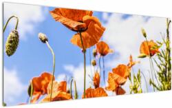 Mivali Tablou cu macii, dintr-o bucată 120x50 cm (V020407V12050)