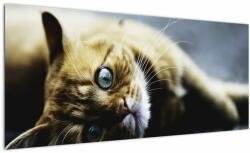 Mivali Tablou cu pisica, dintr-o bucată 100x40 cm (V020963V10040)