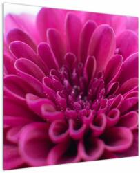 Mivali Tablou cu floare, dintr-o bucată 70x70 cm (V021175V7070)