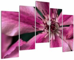 Mivali Tablou cu floarea roz de clematis, din cinci bucăți 125x90 cm (V021607V12590)
