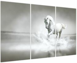 Mivali Tablou - Cal alb, din trei bucăți 120x80 cm (V023744V120803PCS)