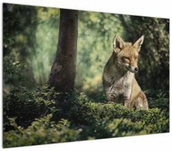 Mivali Tablou cu vulpe, dintr-o bucată 100x70 cm (V020956V10070)