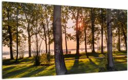 Mivali Tablou pe sticlă cu pomi lângă lac, dintr-o bucată 100x50 cm pe sticlă (V020839V10050GD)