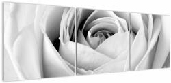 Mivali Tablou - Detailu de floare de trandafir, din trei bucăți 150x50 cm (V022191V15050)