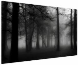 Mivali Tablou - Pădure în ceață, dintr-o bucată 150x100 cm (V023566V150100)